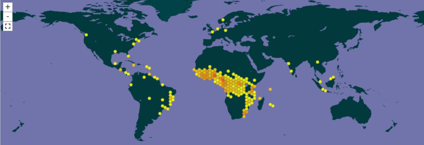 GBIF-confirmed occurrences (~26,500) of 142 kola species (as of May 2025), including global botanical gardens (Source/link in text)