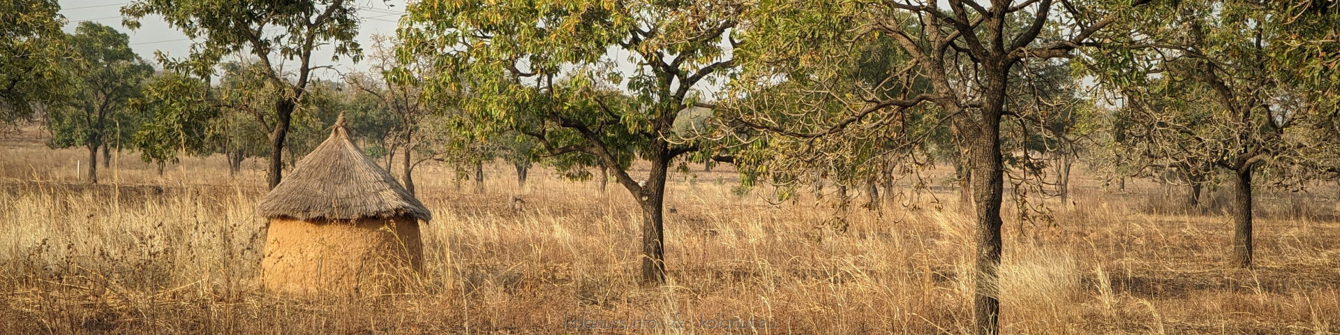 Savanna dwelling: No space too small for the tradition of kola nuts