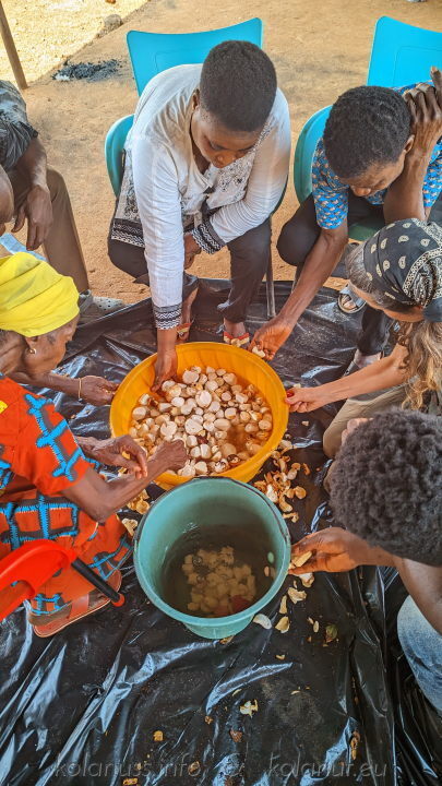 Removing the testa from kola seeds